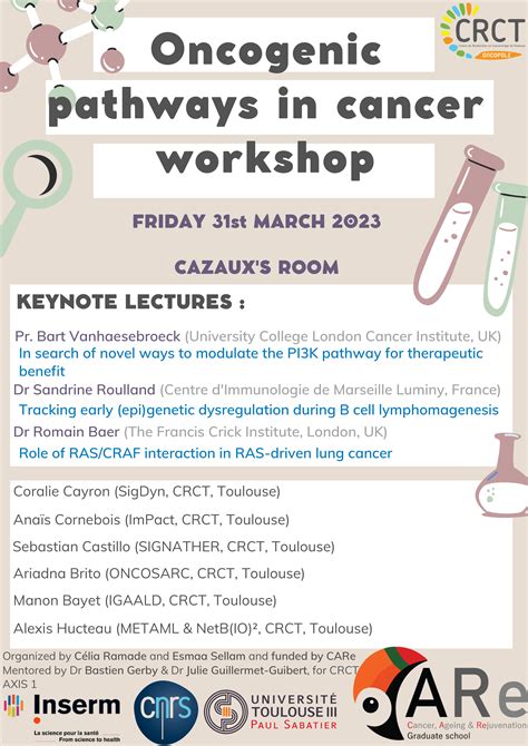 "Oncogenic pathways in cancer" Workshop - CARe graduate school