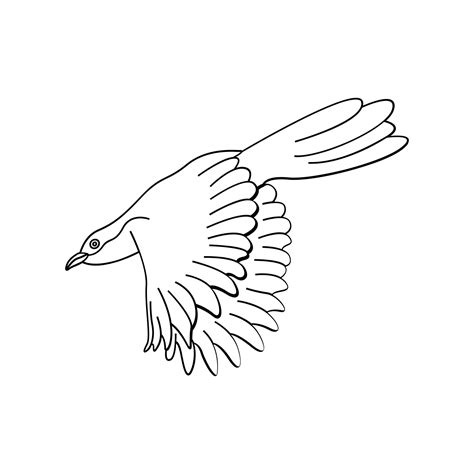bird tattoo line art