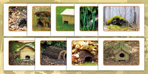 DIY Hedgehog House | Photo Pack | Hedgehog Awareness Week