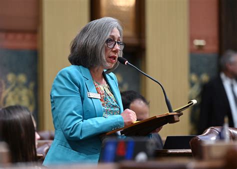 gina johnsen posts michigan house republicans
