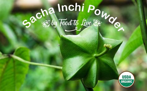 Organic Sacha Inchi Powder 8 Ounces Non GMO Kosher Inca Nut Powder