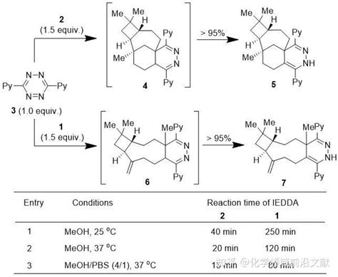 清华大学药学院唐叶峰课题组organic Letters：桥头烯烃介导的张力驱动的生物正交反应 知乎