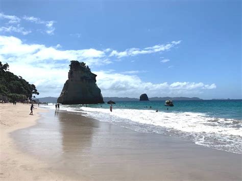 Best Coromandel Beaches: Sun, Surf, Scenery