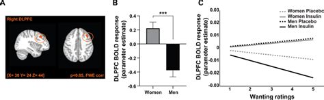 Insulin Action On Bold Response In The Dorsolateral Prefrontal Cortex