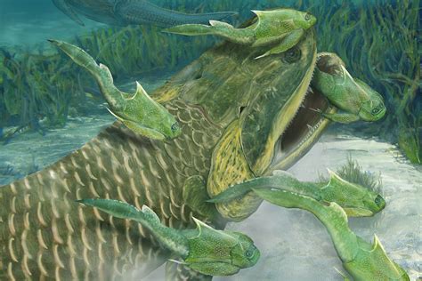 Weird Fish Fossil Changes The Story Of How We Moved Onto Land New