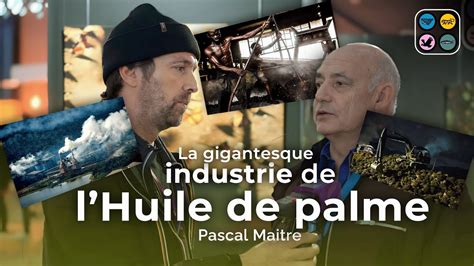 La Ville La Plus Pollu E Au Monde L Industrie De L Huile De Palme Et