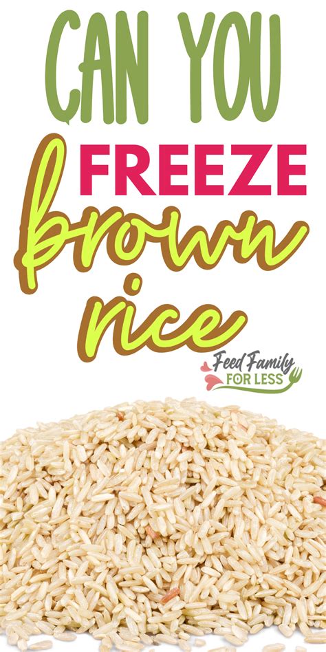 How To Freeze Rice Freezing Cooked Food Frozen Frozen Meals