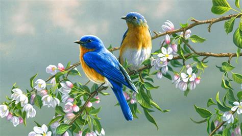 Birds HD Desktop Wallpapers - Top Free Birds HD Desktop Backgrounds ...