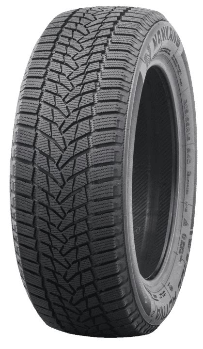 NANKANG Ice Activa 2 Tire Reviews And Ratings