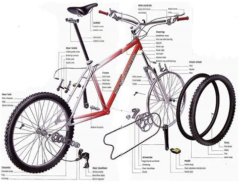 Partes De La Bicicleta