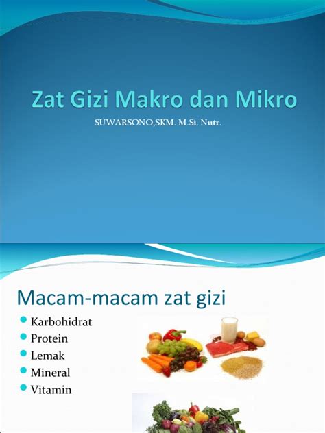 2 Zat Gizi Makro Dan Mikro Pdf