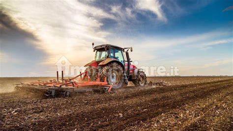 Terreno Agricolo Via Maggiore Ospedaletto Euganeo Rif