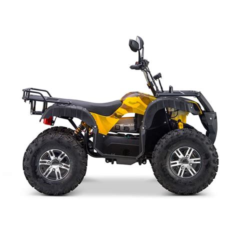 Electric 4 Wheelers, Custom 4WD Electric ATV Manufacturer & Supplier In ...