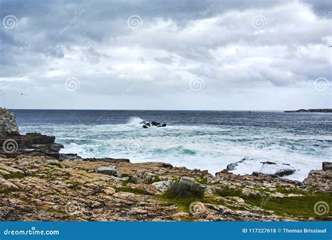 Hermanus Map Stock Photos - Free & Royalty-Free Stock Photos from Dreamstime