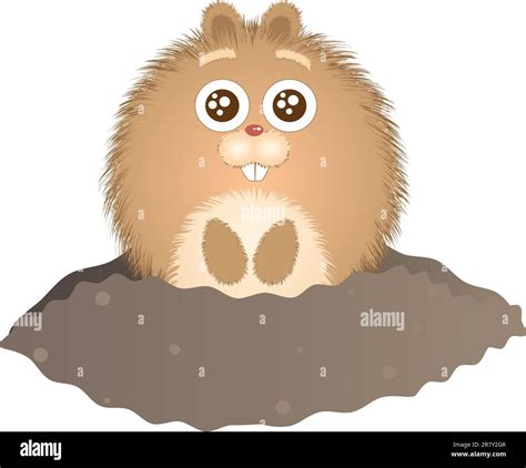 Petite Marmotte Mignonne Banque D Images Vectorielles Alamy