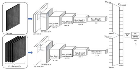 Dual Stream Network Structure Based On Resnet50 Download Scientific Diagram