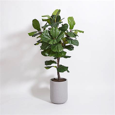 Faux Fiddle Leaf Fig Tree Wartisan Pot Cg Hunter Luxury Faux Plants