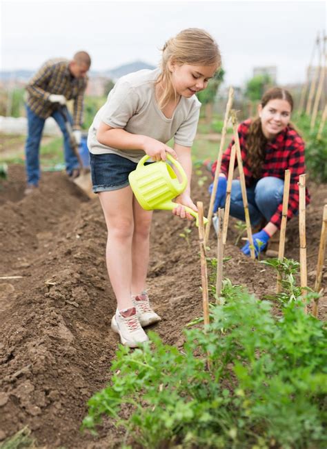 How To Start A Community Garden Getting People Involved In 2024