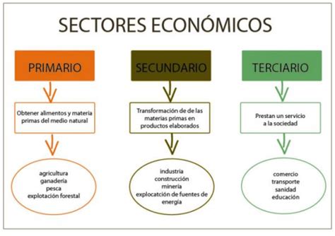 Los Sectores De La Economia Resumen