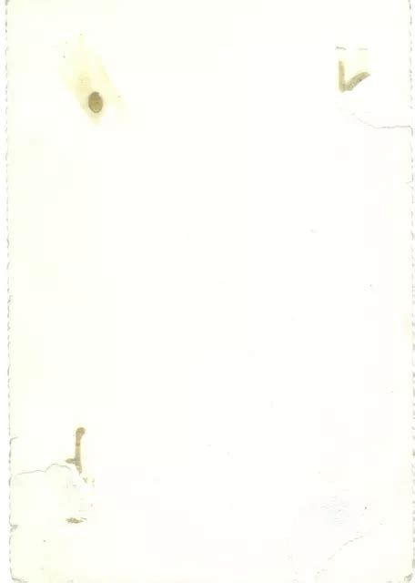 Vintage Amateur Snapshot Allemagne Plage Nu Nude Photo Privat Aktfoto S Eur Picclick Fr