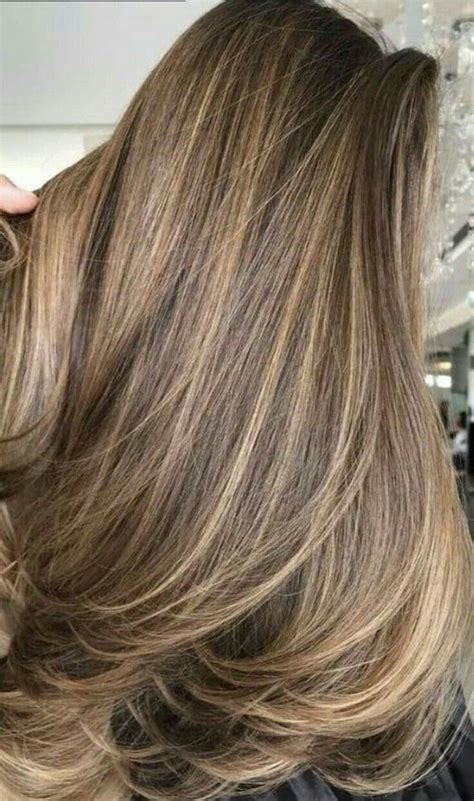 Pin By Cindy Dibert On Hair Brunette Hair With Highlights Light