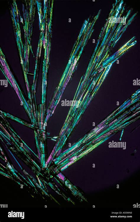 Potassium Phosphate In Poarized Light Crystal Micro Structure Lm