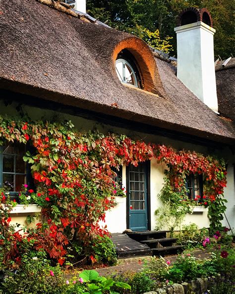 Country cottage decor, Country cottage, Cottage design