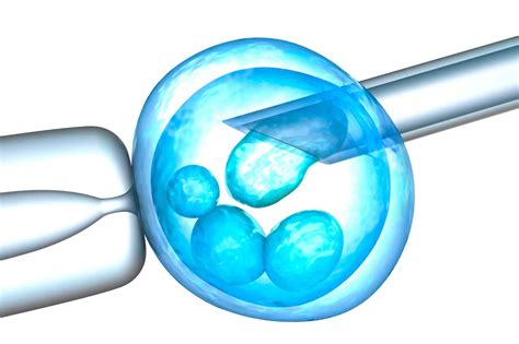 December Ivf Research News And Features University Of Bristol