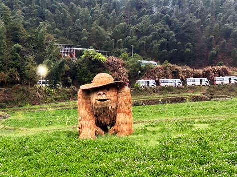 袁梦村闽西深山的孤村有禾下乘凉梦，有竹林清溪欢行客旅游网