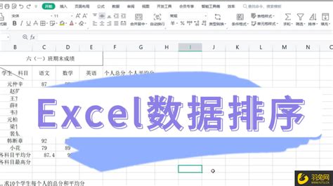 掌握这些技巧，让 Excel 数据处理更高效 羽兔网