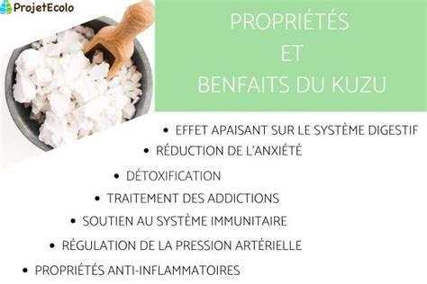 Kuzu Propri T S Bienfaits Et Utilisation