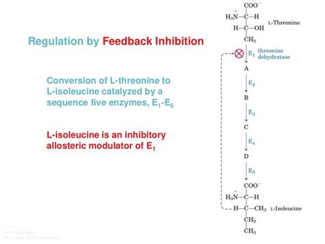 Enzyme kinetics