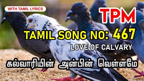 Tpm Tamil Song 467 கல்வாரியின்‌ அன்பின்‌ வெள்ளமே Kalvaariyin Anbin