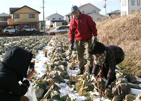 野菜収穫 神楽も鑑賞 暮らし体験ツアー 県外在住者、花巻満喫｜iwanichi Online 岩手日日新聞社