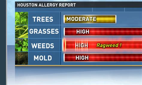 First Cedar Pollen Of The Season Measured In Houston | khou.com