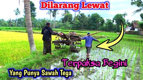 Yang Punya Sawah Tega Dilarang Lewat Terpaksa Di Pikul Sampai Mau