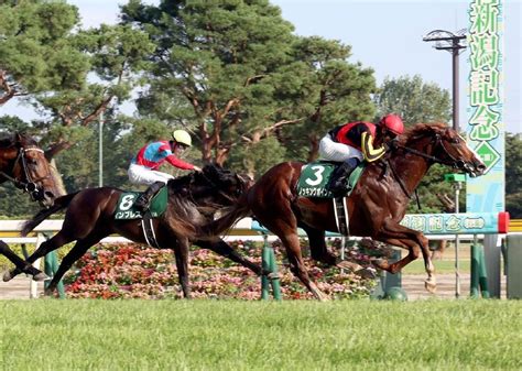 【新潟記念】また北村宏だ ノッキングポイントと5年前のブラストワンピースが似ている点と異なる点 日刊ゲンダイ競馬