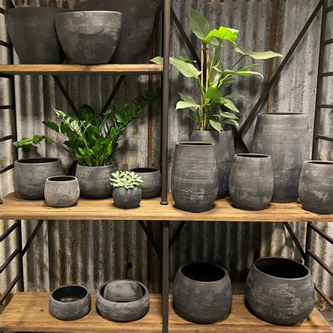 Reinerink bloemen & planten - Reinerink bloemen en planten potterie