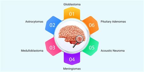 Types of Brain Tumors - Lone Star Neurology