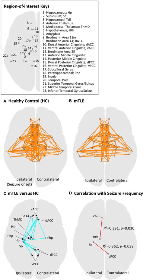 Figure 1 From Relationship Between Seizure Frequency And Functional