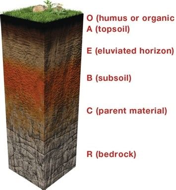 Soil Types and Suitable Crops in India | Agri Farming