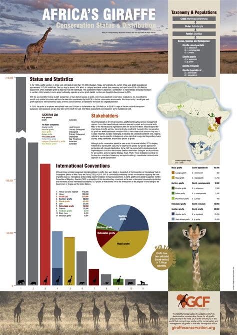 Conservation Status Archives Giraffe Conservation Foundation