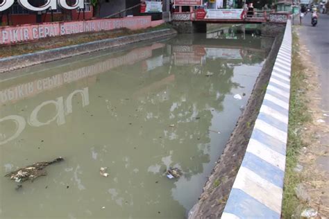 Sungai Di Rejoso Diduga Tercemar Limbah Ini Penjelasan Dlh Jombang