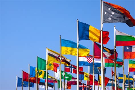 tax expenditure country reports unveiling tax expenditures