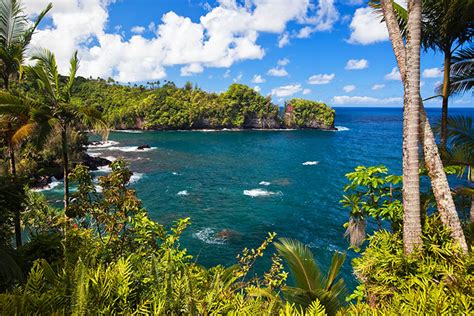 Similarities Between Hawaii And New Zealand Hawaii And New Zealand