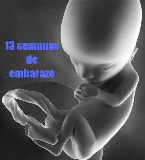 Tu embarazo 13 semanas de gestación