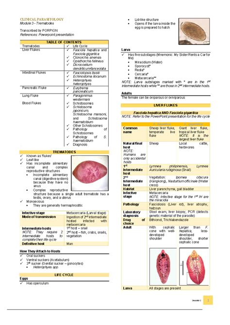 Notes Trematodes Nd Year Bs Medical Technology Compress Clinical