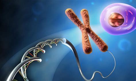 Gen Nedir? Özellikleri ve Görevleri Nelerdir? » TechWorm 