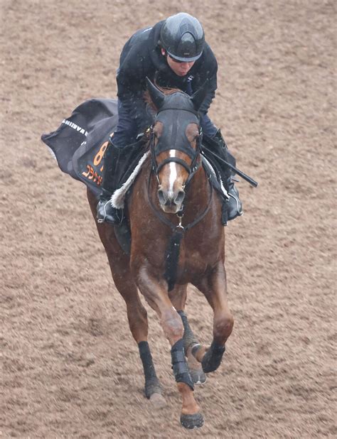 【報知杯fr】コラソンビートは1枠1番 武豊騎手騎乗のジューンブレアは7枠12番 枠順決定 Umatoku 馬トク