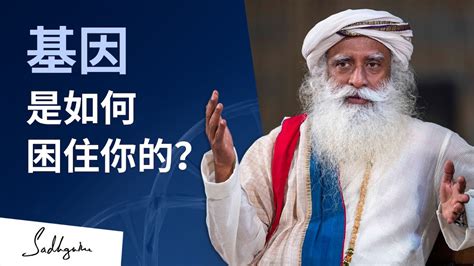 萨古鲁在哈佛大学：基因是如何困住你的？ Sadhguru 萨古鲁 Youtube